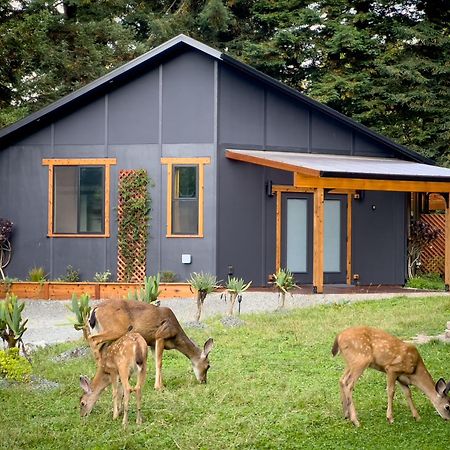 New, Modern, Country-Feel, Close To Арката Екстериор снимка