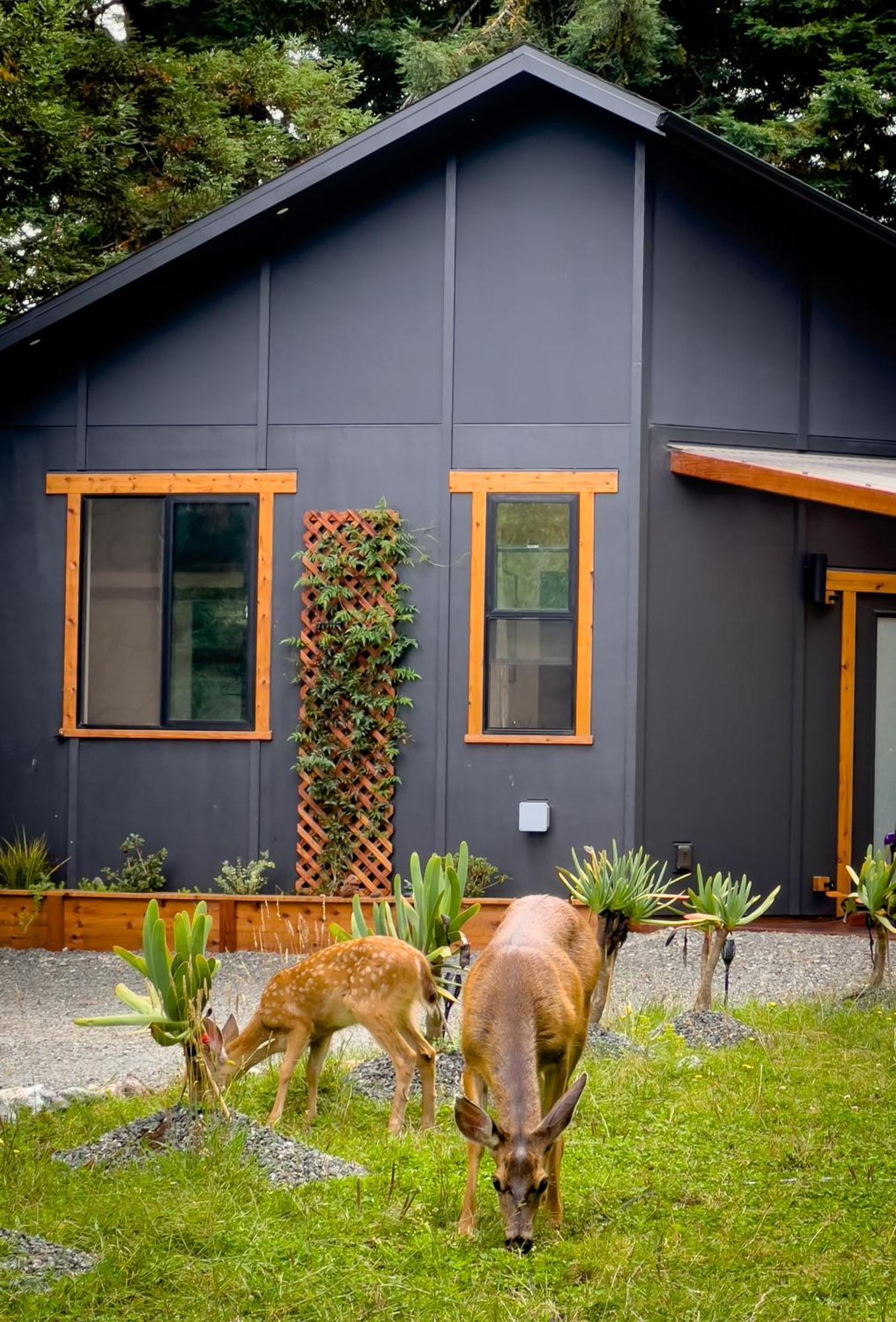 New, Modern, Country-Feel, Close To Арката Екстериор снимка